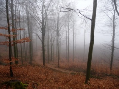 Gdzieś między Bridel i Walferdange