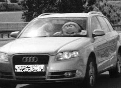 muppet-at-the-wheel.jpg