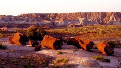 Pertified Forest National Park Arizona